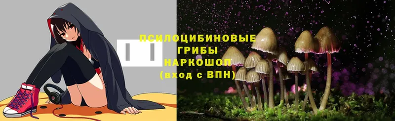 мориарти телеграм  Майский  Галлюциногенные грибы Magic Shrooms 